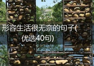 形容生活很无奈的句子(优选40句)
