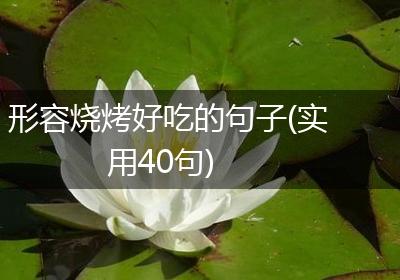 形容烧烤好吃的句子(实用40句)