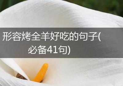 形容烤全羊好吃的句子(必备41句)