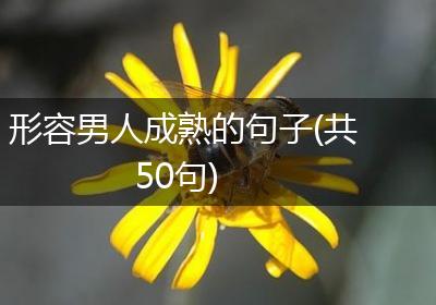 形容男人成熟的句子(共50句)