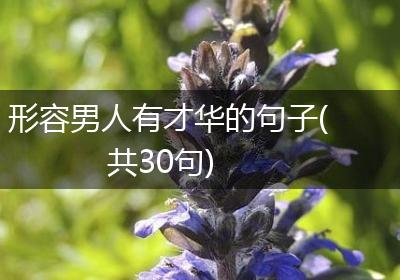 形容男人有才华的句子(共30句)