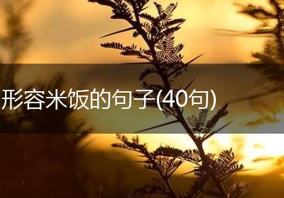 形容米饭的句子(40句)