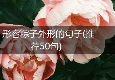 形容粽子外形的句子(推荐50句)