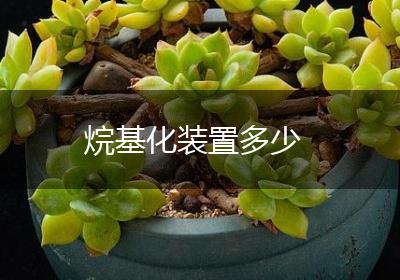 烷基化装置多少