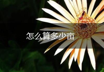 怎么算多少亩