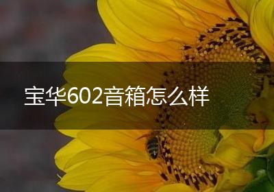 宝华602音箱怎么样