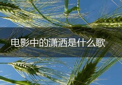 电影中的潇洒是什么歌