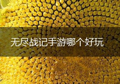 无尽战记手游哪个好玩