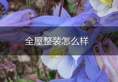 全屋整装怎么样