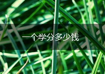 一个学分多少钱