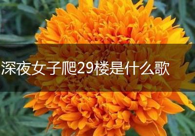 深夜女子爬29楼是什么歌
