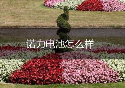 诺力电池怎么样