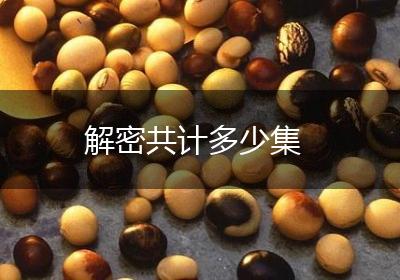 解密共计多少集