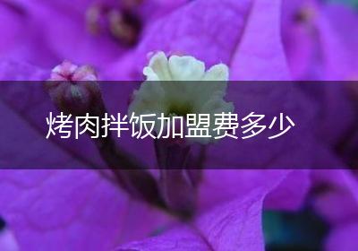 烤肉拌饭加盟费多少