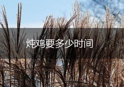 炖鸡要多少时间