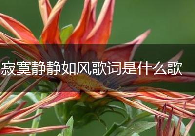 寂寞静静如风歌词是什么歌