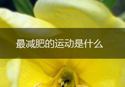 最减肥的运动是什么