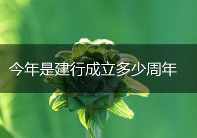 今年是建行成立多少周年