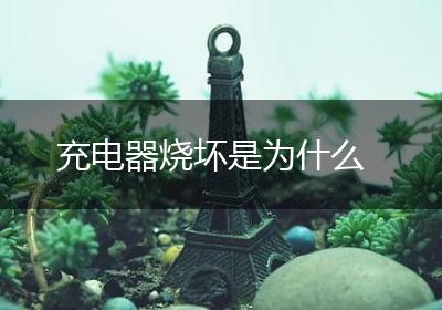 充电器烧坏是为什么