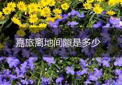 嘉旅离地间隙是多少
