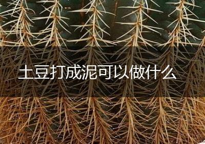 土豆打成泥可以做什么