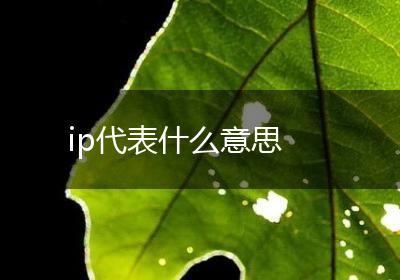 ip代表什么意思