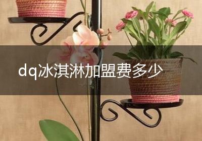 dq冰淇淋加盟费多少