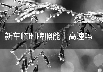 新车临时牌照能上高速吗