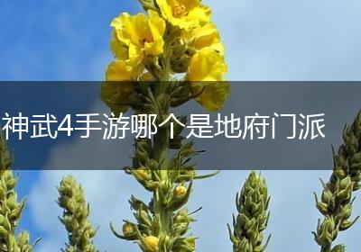 神武4手游哪个是地府门派