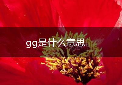 gg是什么意思