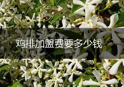 鸡排加盟费要多少钱