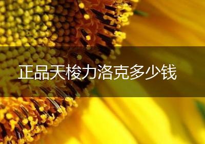 正品天梭力洛克多少钱