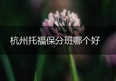 杭州托福保分班哪个好