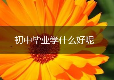初中毕业学什么好呢