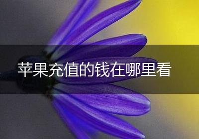 苹果充值的钱在哪里看