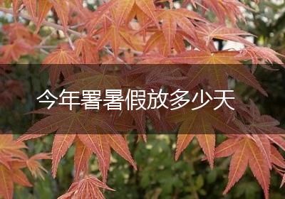 今年署暑假放多少天