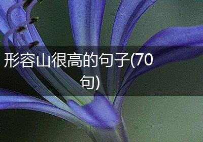 形容山很高的句子(70句)