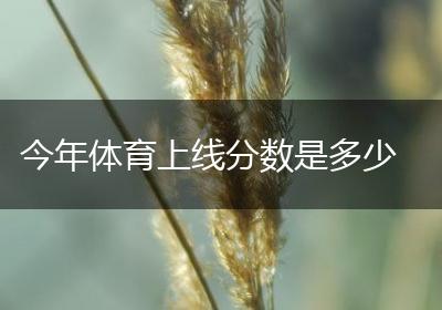 今年体育上线分数是多少