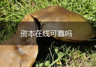 资本在线可靠吗