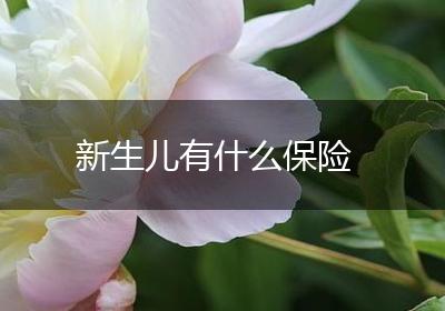 新生儿有什么保险
