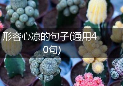 形容心凉的句子(通用40句)