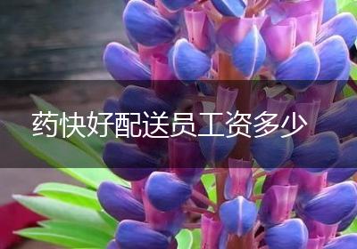 药快好配送员工资多少