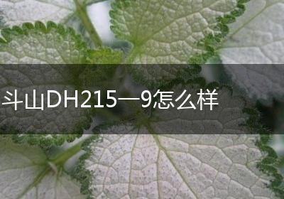斗山DH215一9怎么样