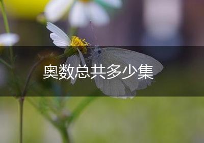 奥数总共多少集