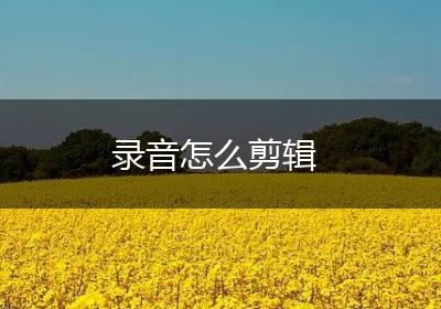 录音怎么剪辑