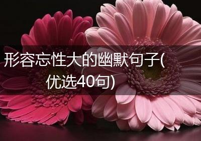形容忘性大的幽默句子(优选40句)