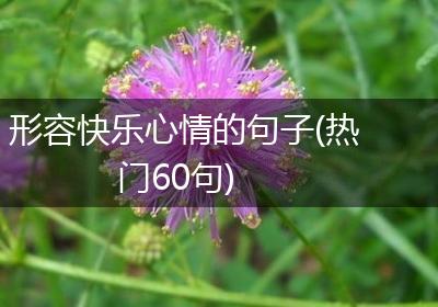 形容快乐心情的句子(热门60句)