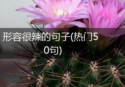 形容很辣的句子(热门50句)