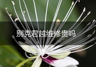 别克君越维修贵吗