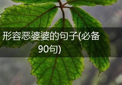 形容恶婆婆的句子(必备90句)